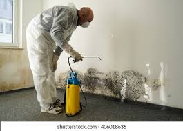 Best Mold Removal for HVAC Installations  in Flint Hill, MO